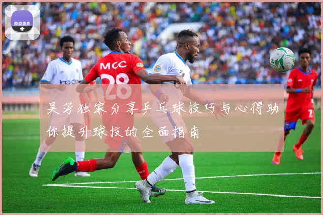 吴芳独家分享乒乓球技巧与心得助你提升球技的全面指南
