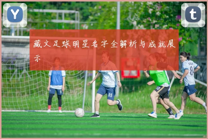 藏文足球明星名字全解析与成就展示