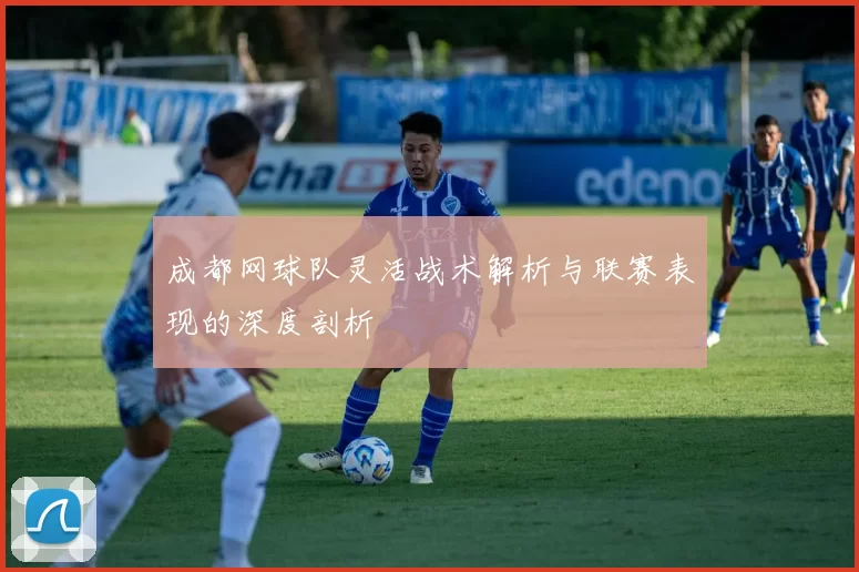 成都网球队灵活战术解析与联赛表现的深度剖析