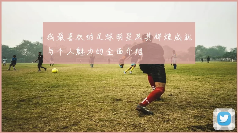 我最喜欢的足球明星及其辉煌成就与个人魅力的全面介绍