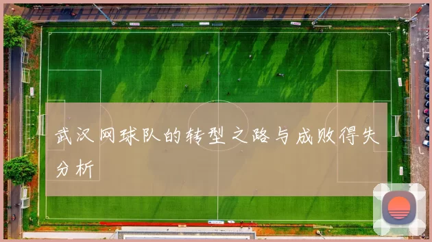 武汉网球队的转型之路与成败得失分析