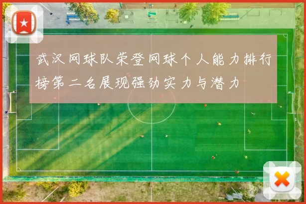 武汉网球队荣登网球个人能力排行榜第二名展现强劲实力与潜力