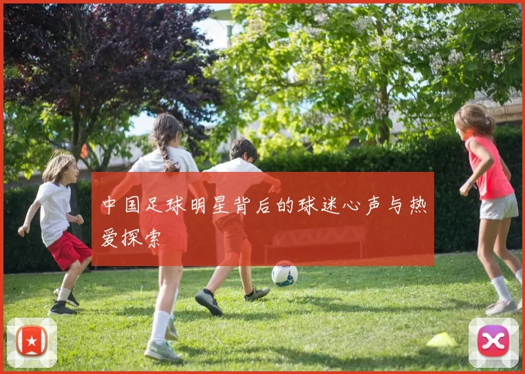 中国足球明星背后的球迷心声与热爱探索