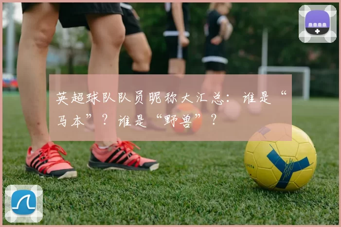 英超球队队员昵称大汇总：谁是“马本”？谁是“野兽”？