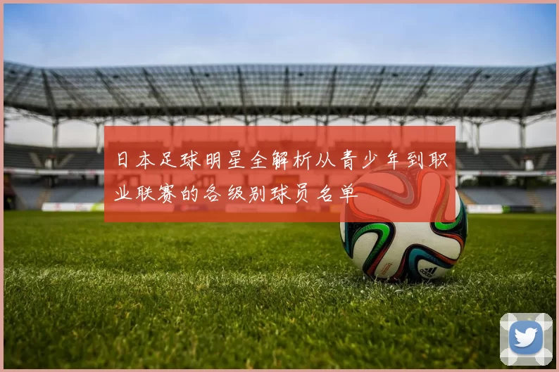 日本足球明星全解析从青少年到职业联赛的各级别球员名单