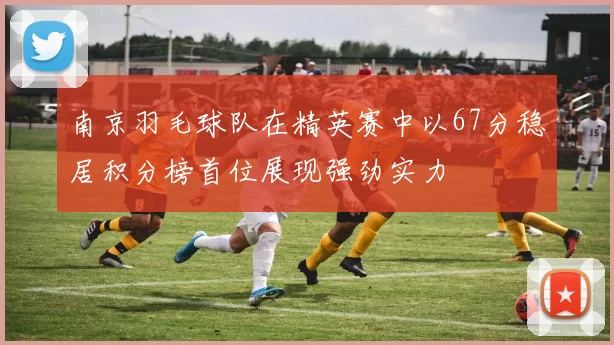 南京羽毛球队在精英赛中以67分稳居积分榜首位展现强劲实力